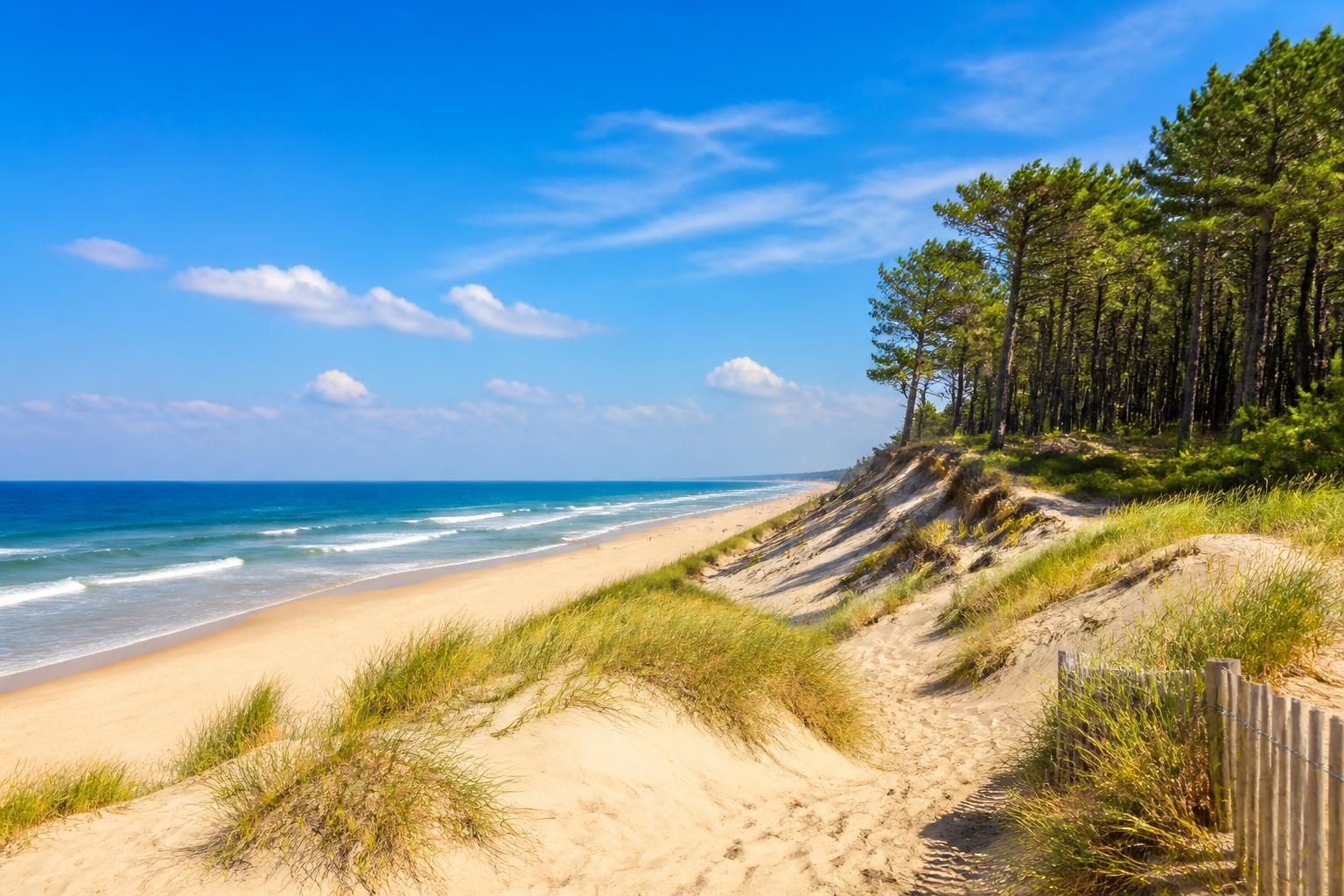 découvrez les activités incontournables à biscarrosse pour un séjour inoubliable entre nature et océan : plages, randonnées, sports nautiques et découvertes culturelles.