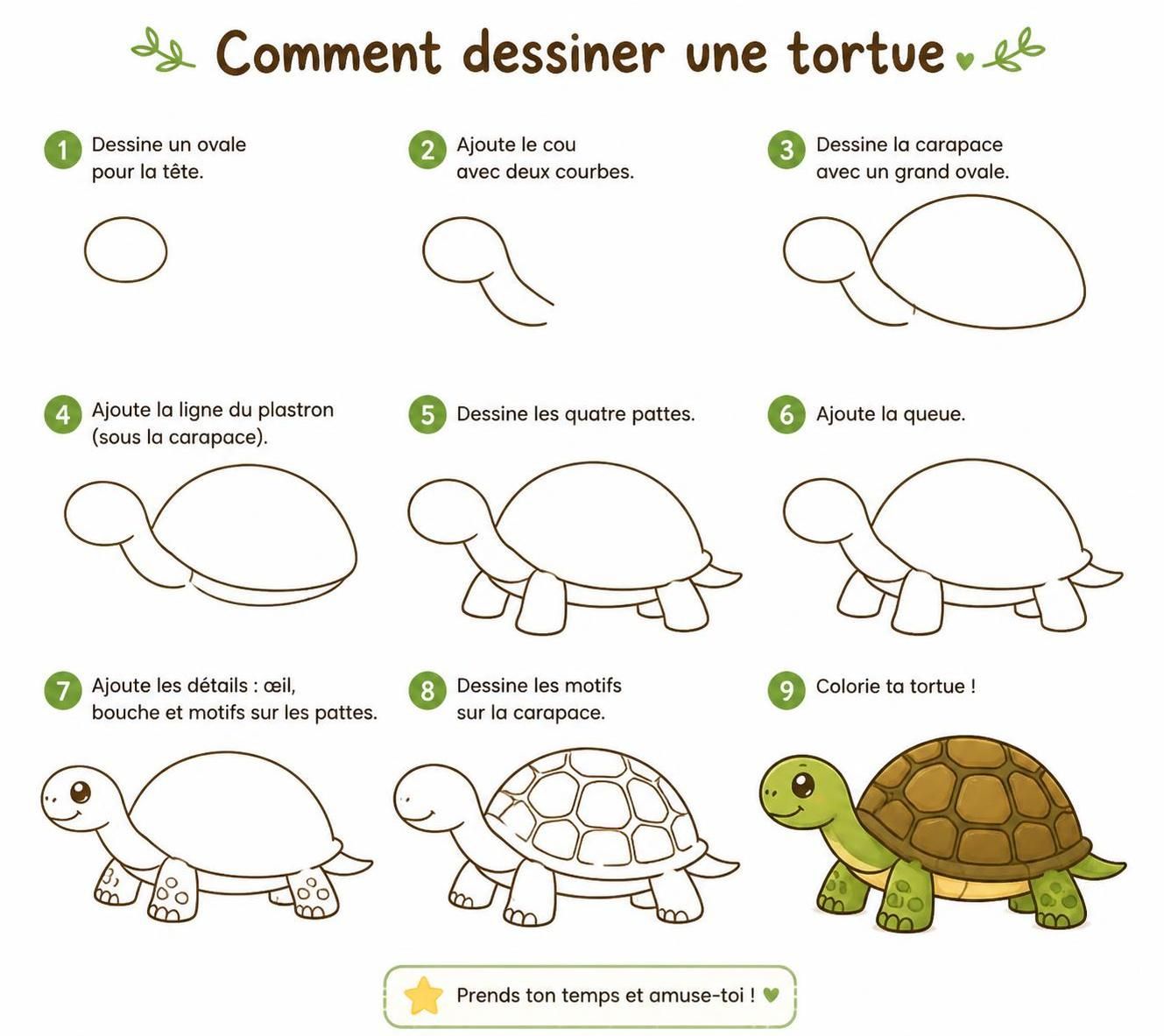 découvrez des astuces simples pour dessiner une tortue pleine de vie et donnez vie à votre illustration grâce à nos conseils faciles à suivre.