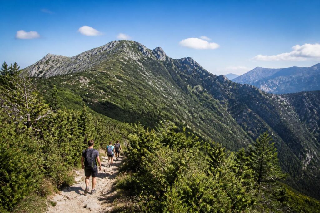 découvrez le monte rotondo en corse avec nos cartes détaillées, itinéraires de randonnée et conseils pratiques pour profiter pleinement de cette aventure en montagne.